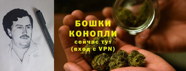 стаф Баксан
